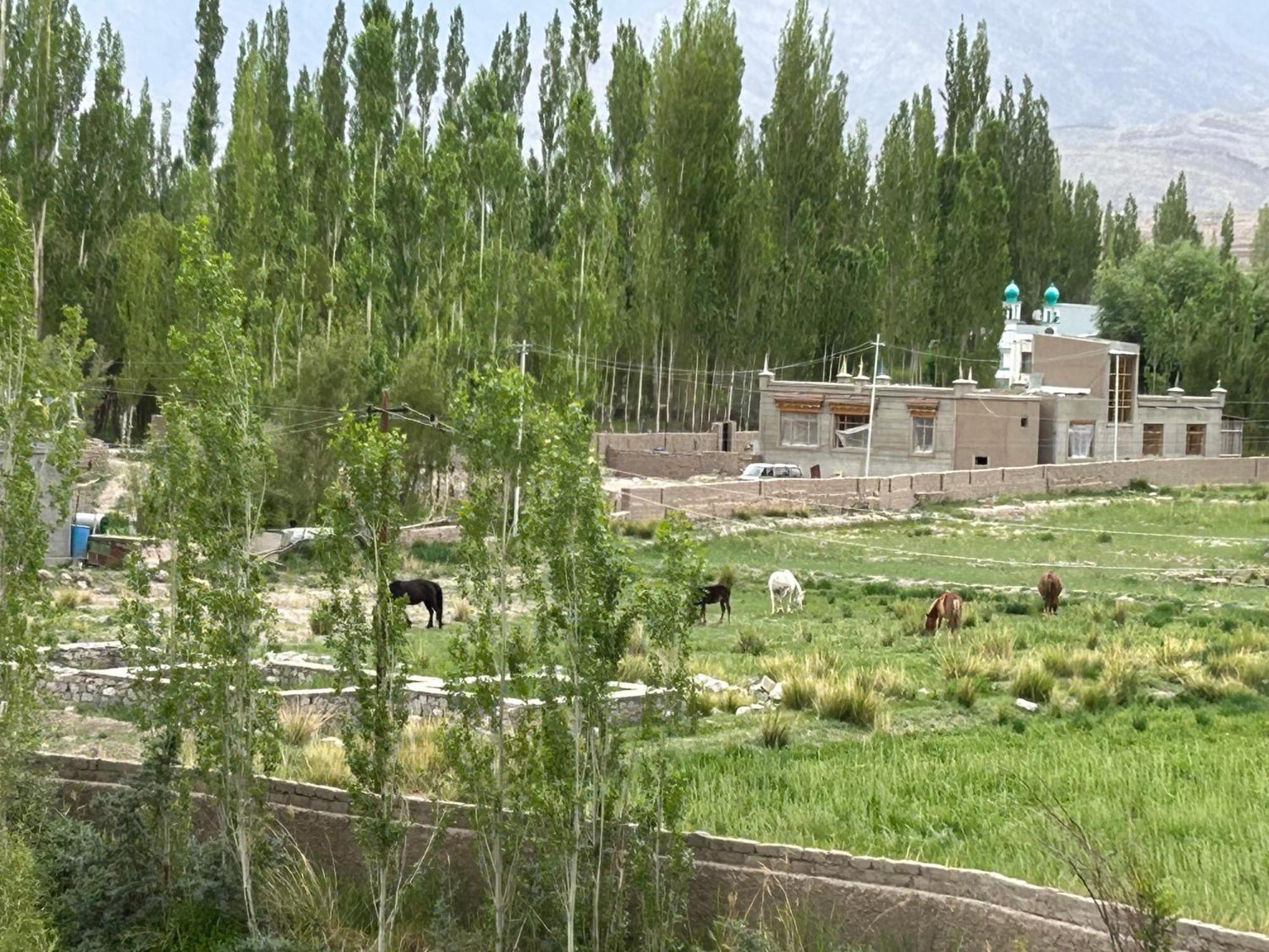 Nature Palace Farmstay She Exterior photo